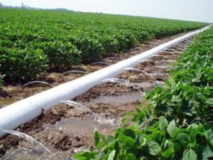 Read more about the article HDPE Water Pipe & Irrigation Solutions for Agriculture